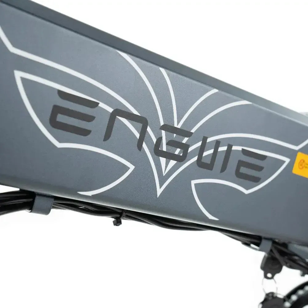 ENGWE EP 2 Pro - Grijs