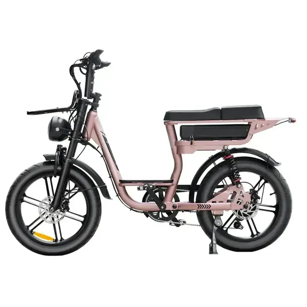 V20 Comfort - ruusukulta