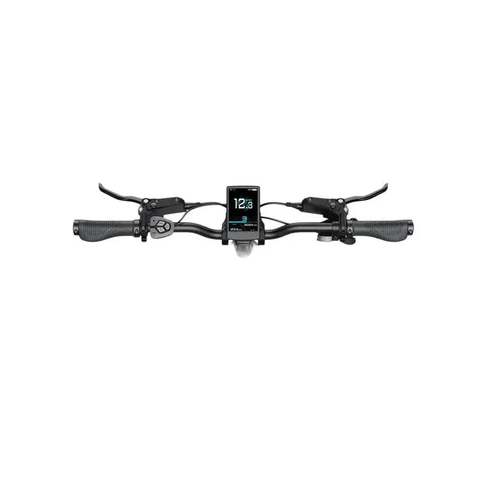 ENGWE L20 3.0 Pro - Samppanja