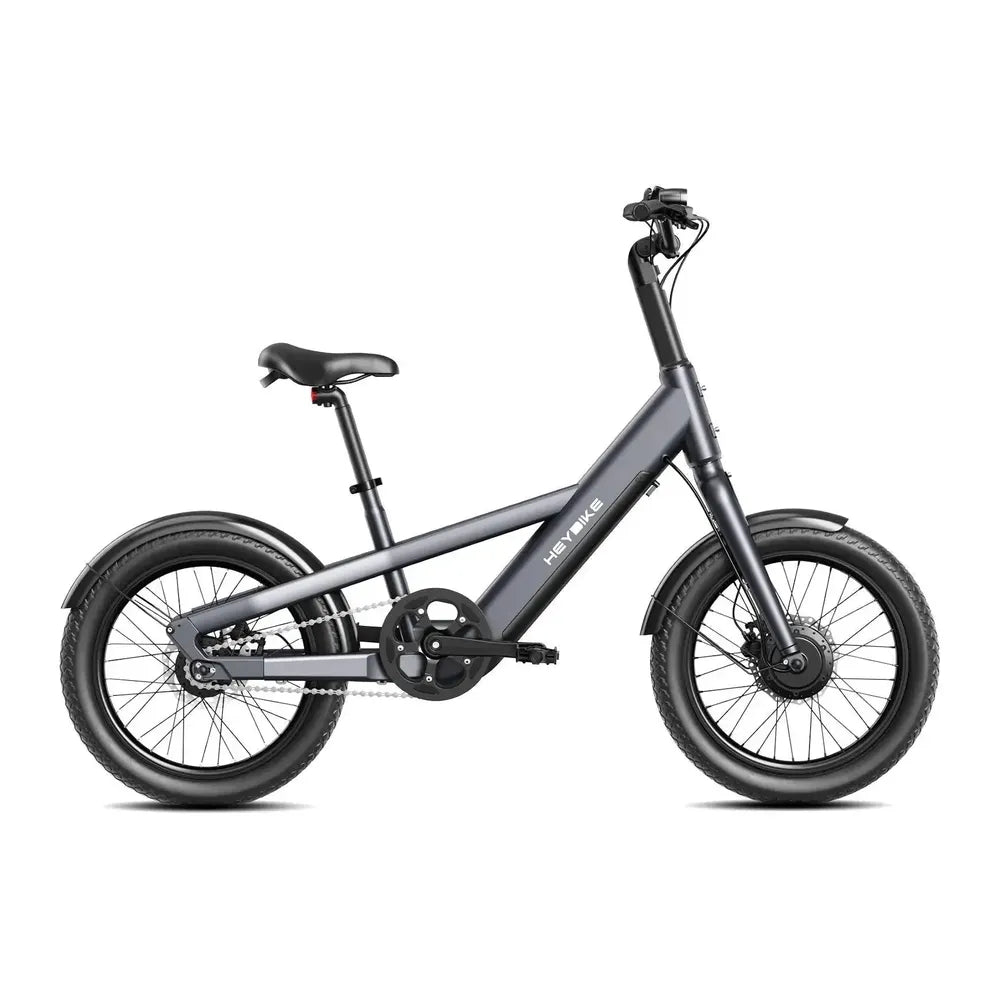 Heybike Compact City - Harmaa