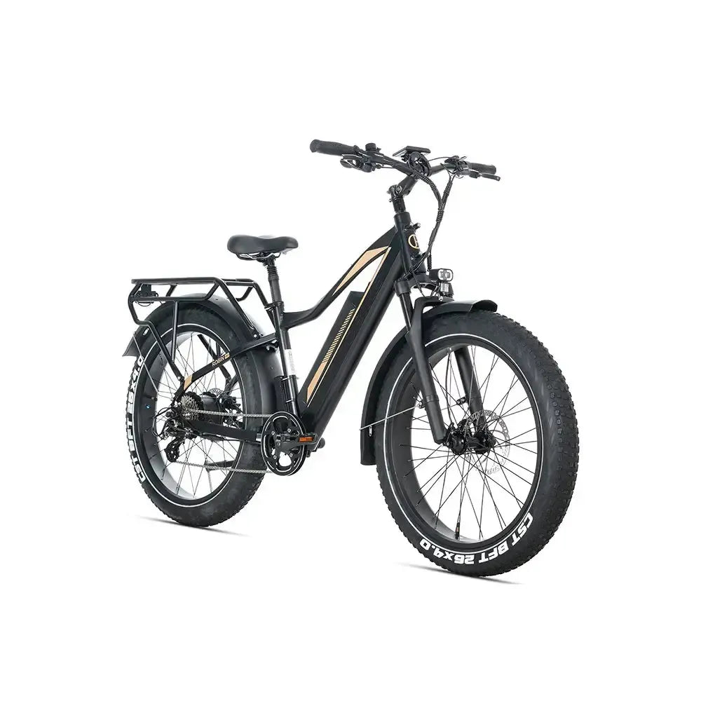 JOBOBIKE Robin Pro - Zwart-goud