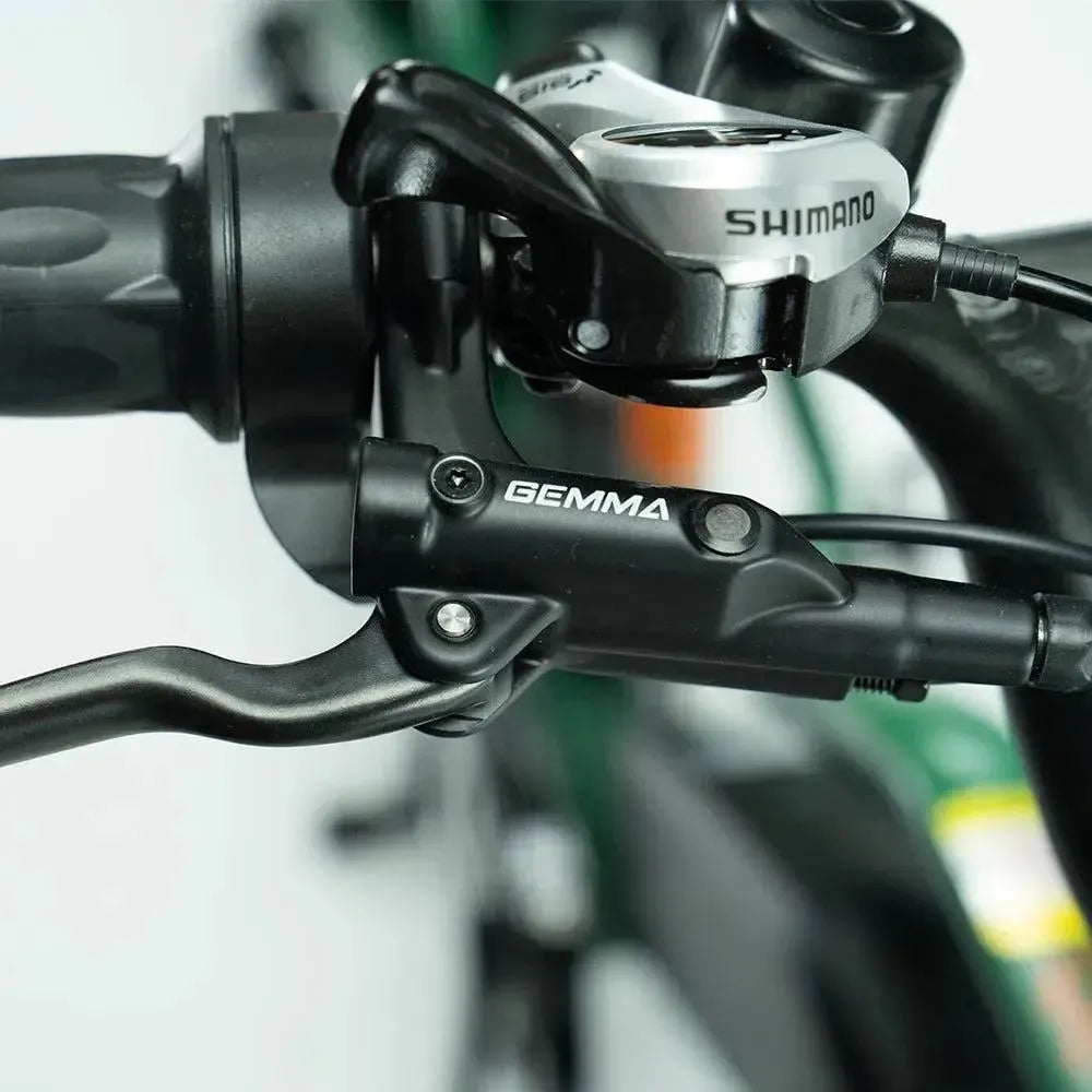 JOBOBIKE Transer - Longtail - Vihreä