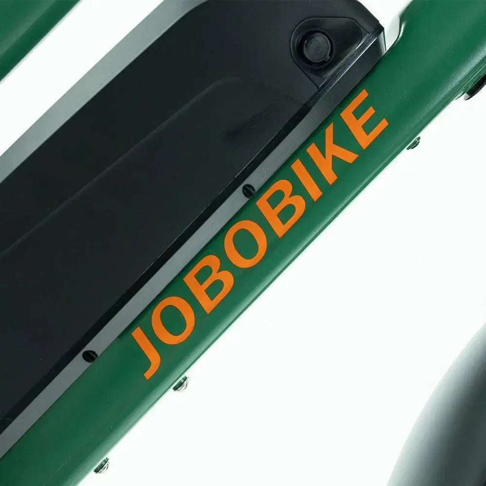 JOBOBIKE Transer - Longtail - Vihreä