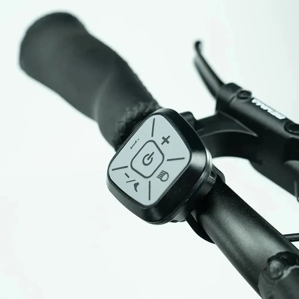 JOBOBIKE Transer - Longtail - Hopeanharmaa