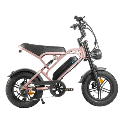 Lasten Fatbikes
